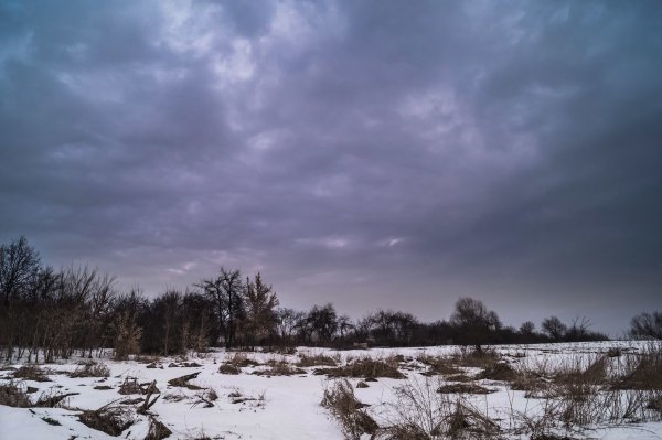 Пасмурный зимний день