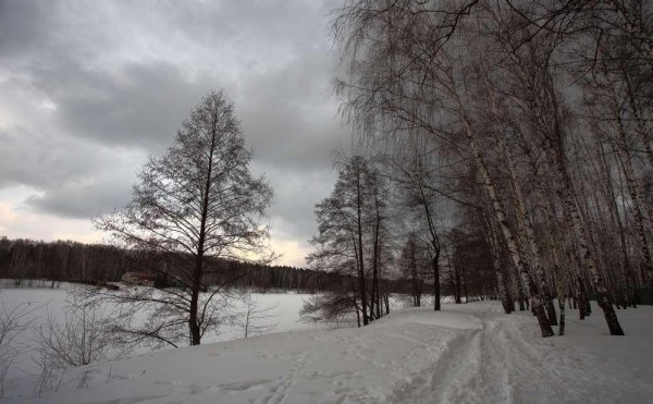 Пасмурный зимний день