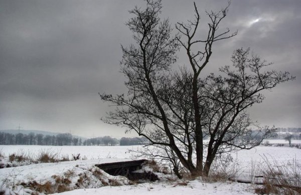 Пасмурный весенний день