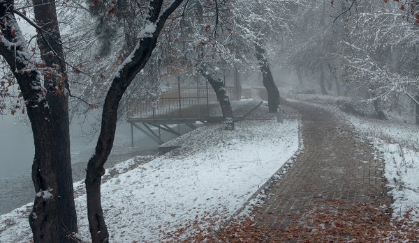 Осень снег с дождем