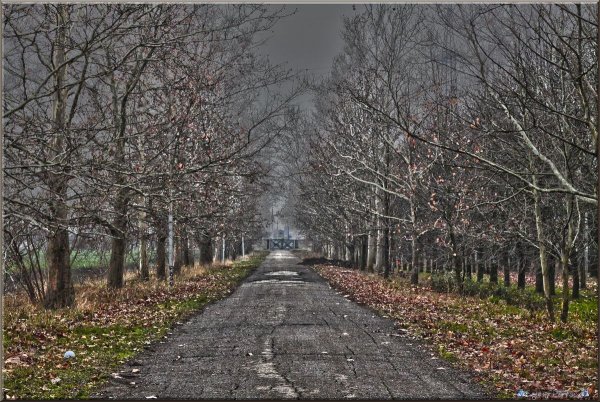 Декабрь без снега