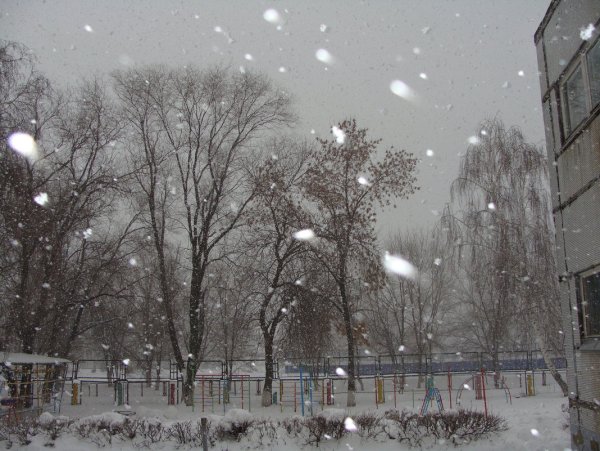 Пасмурный зимний день