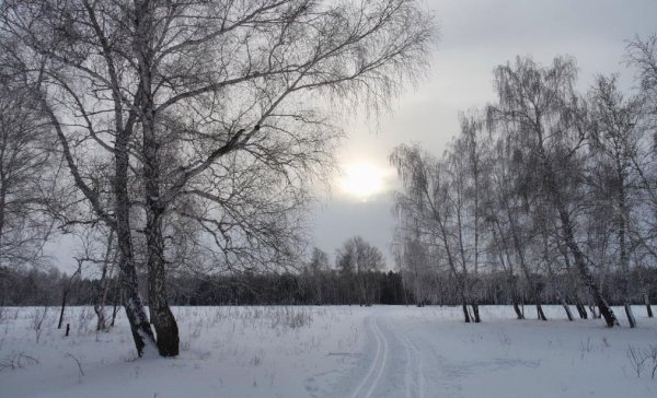 Ко-пасмурный декабрь