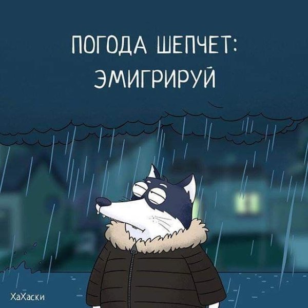 Погода шепчет Эмигрируй