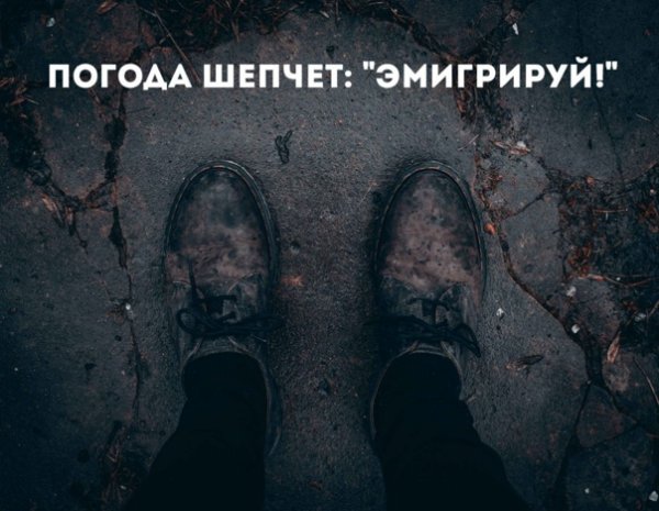 Погодка шепчет