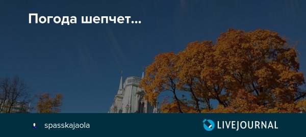 Погода шепчет картинки