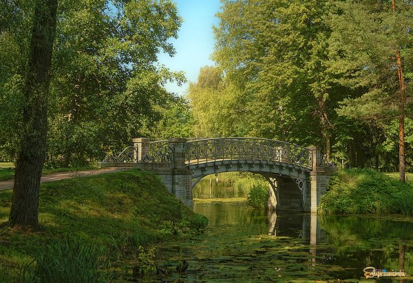 Гатчина парк мостики