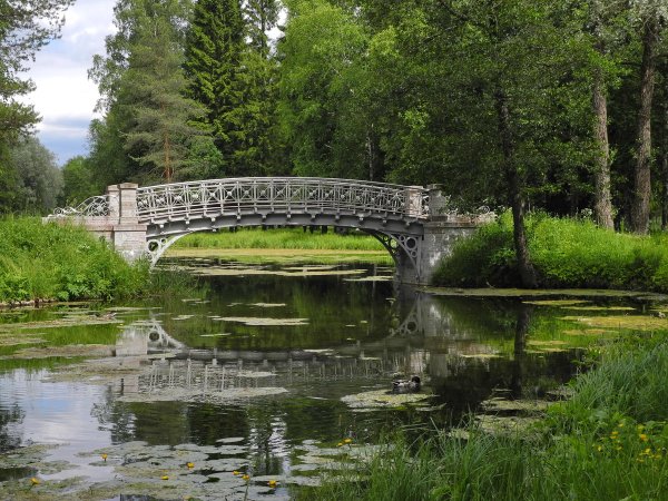 Парк в Гатчине Дворцовый парк