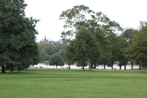 Гайд-парк Hyde Park ивы