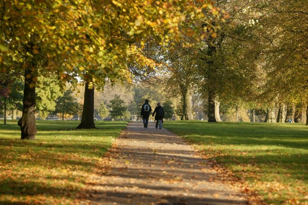 Лондон аллея Ричмонд парк