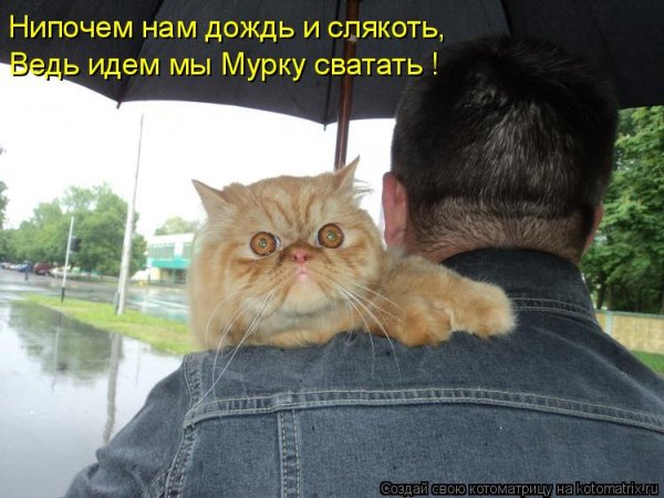 Поздравление с разводом мужчине прикольные