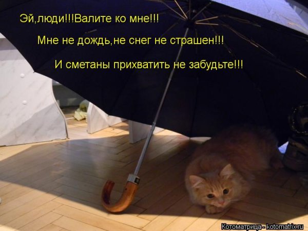 Нам дождь нипочем