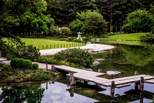 Парк с прудом