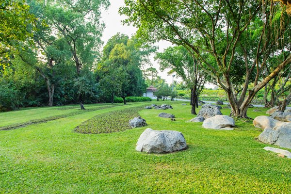 Парк Стоун Херд