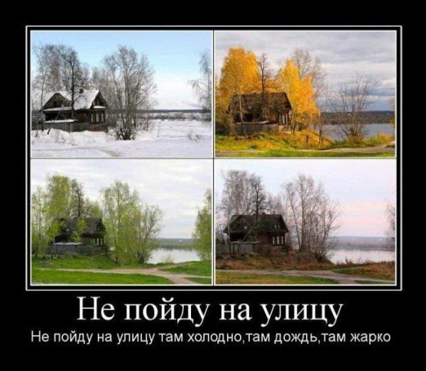 Сезонные явления