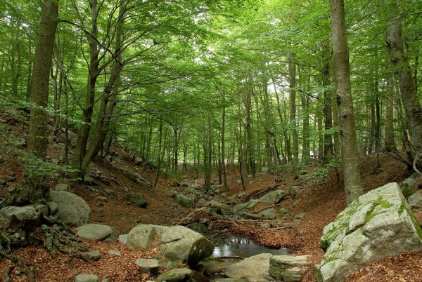 Нац парки Испании