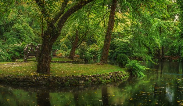 Альфред Николас Гарден