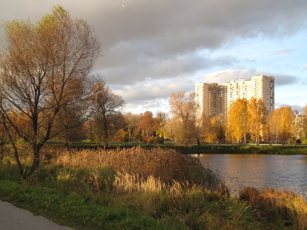 Парк Муринский ручей Калининский район