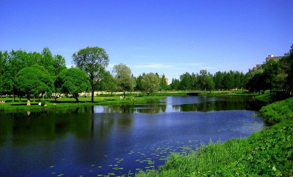 Муринский парк в Санкт-Петербурге