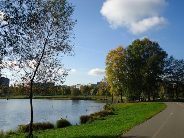 Парк Муринский ручей Калининский район