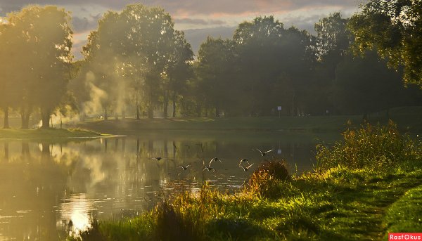 Муринский парк