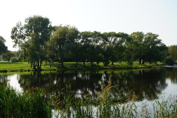 Муринский парк в Санкт-Петербурге фото