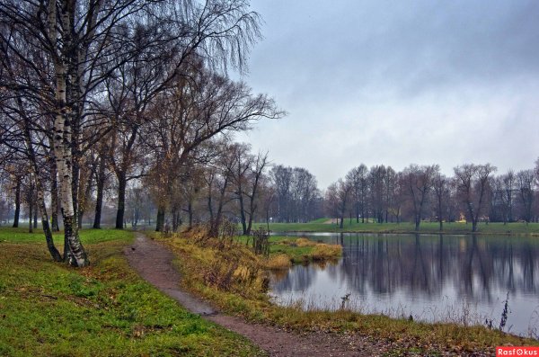 Парк Муринский ручей