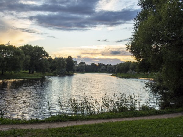 Муринский парк в Санкт-Петербурге