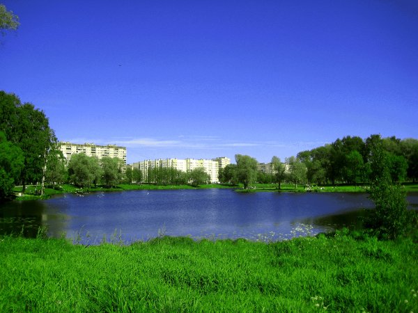 Муринский парк в Санкт-Петербурге