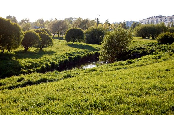 Муринский парк СПБ