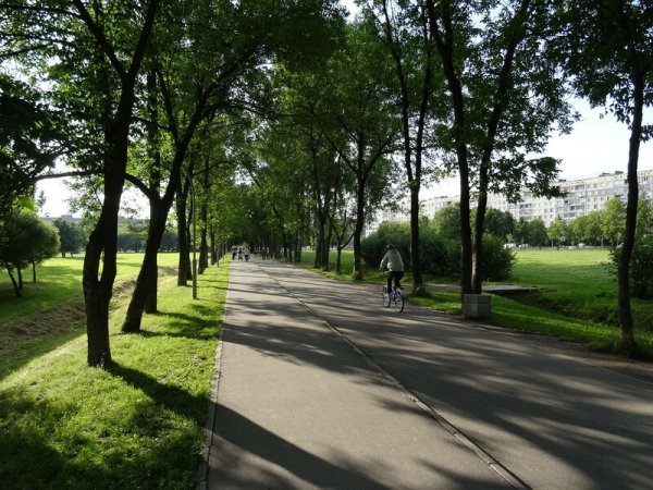 Санкт-Петербург Калининский район Муринский парк