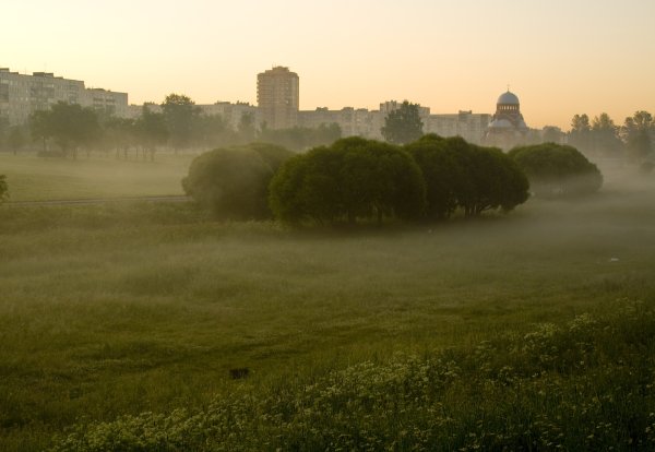 Муринский парк Мурино