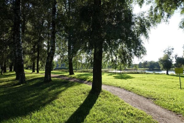 Муринский парк в Санкт-Петербурге мостик