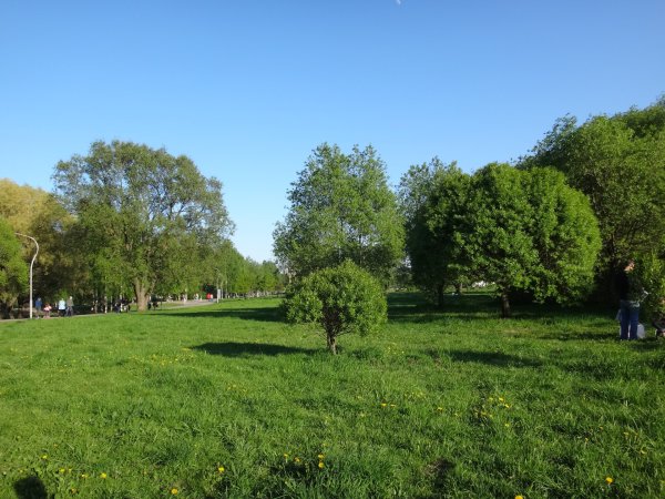 Лето в Санкт-Петербург Муринский парк