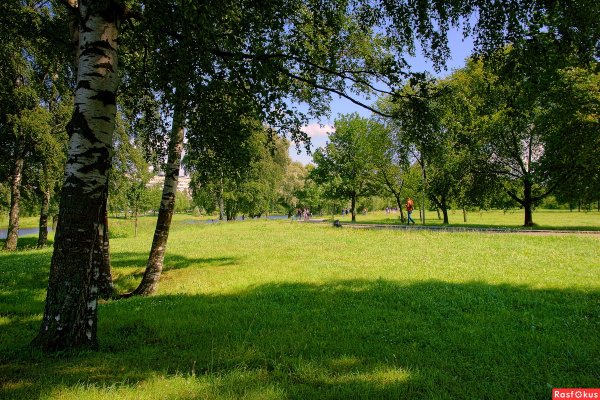 Муринский парк Руставели