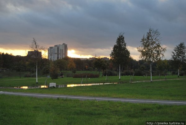 Муринский парк велотрек