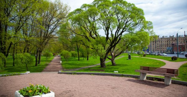 Муринский парк в Санкт-Петербурге