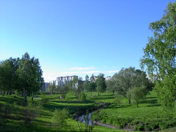 Муринский ручей СПБ