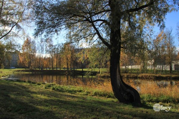 Муринский парк мост