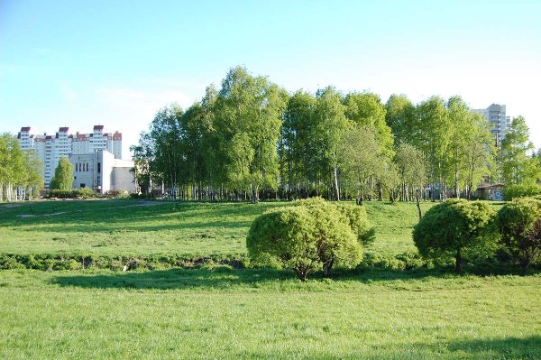 Муринский парк в Санкт-Петербурге 1