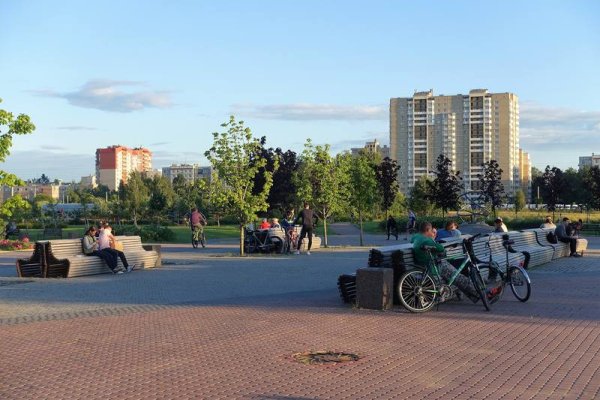 Муринский парк СПБ детская. Площадка