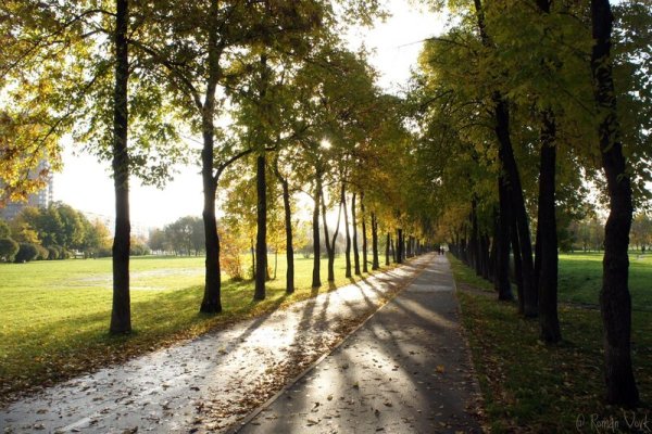 Муринский парк Руставели Луначарского