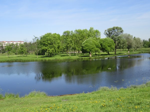 Петербург Муринский ручей