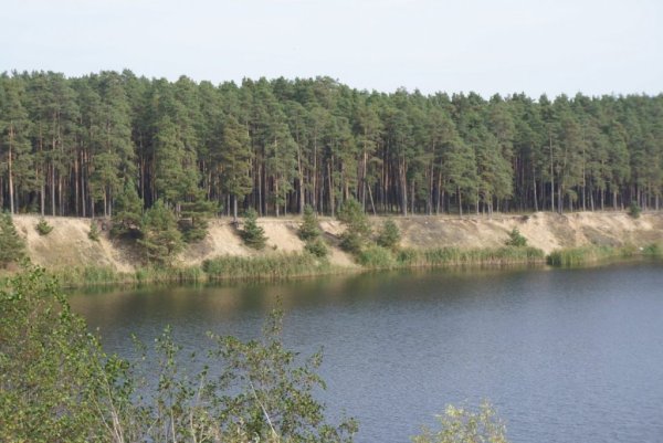 Силикатные озера в Липецке