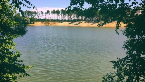 Силикатные озера Липецкая область