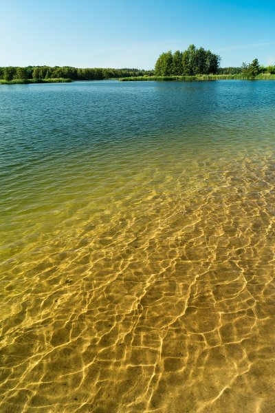 Сеоикатнвк озёра Липецк