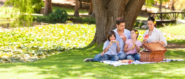 Семья в парке на пикнике