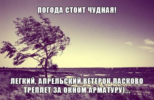 Ветер за окном ласково треплет арматуру