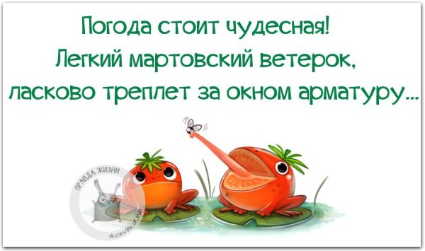 Лёгкий ветерок нежно треплет арматуру