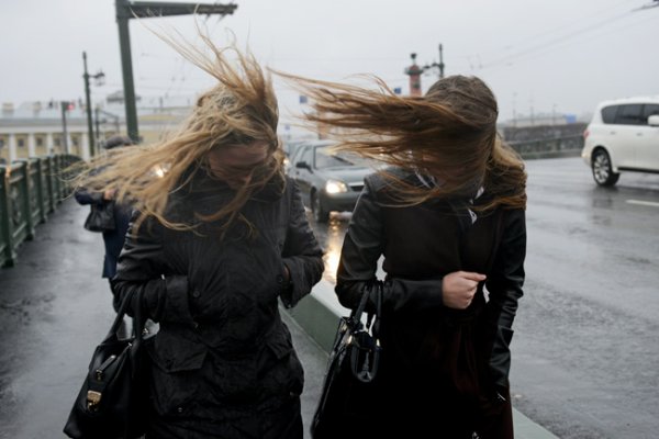 Ветренно в СПБ